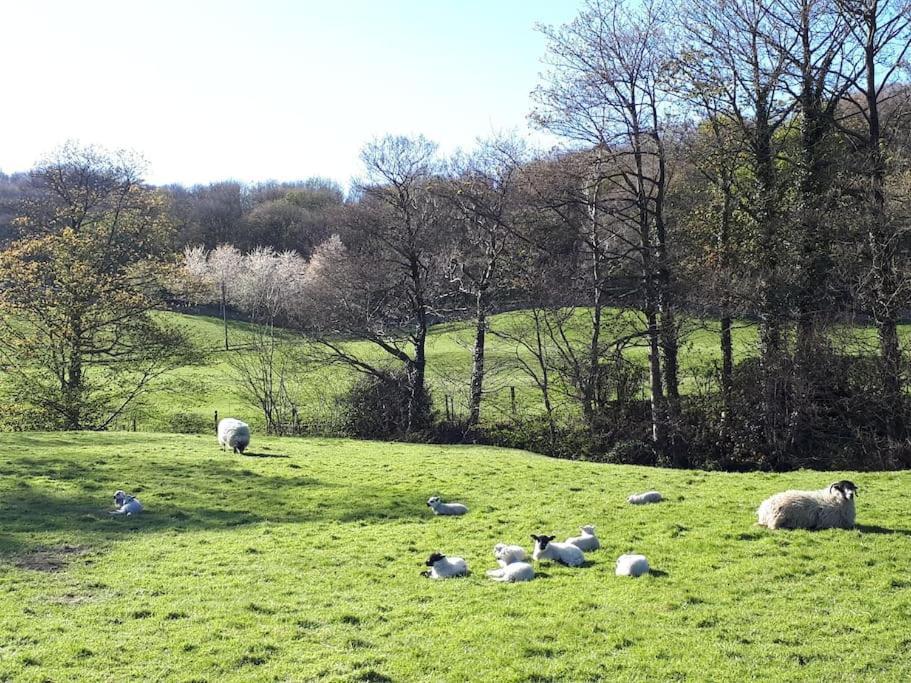 Folly View - Private, Peaceful Apartment With Stunning Views. Pateley Bridge Exteriör bild