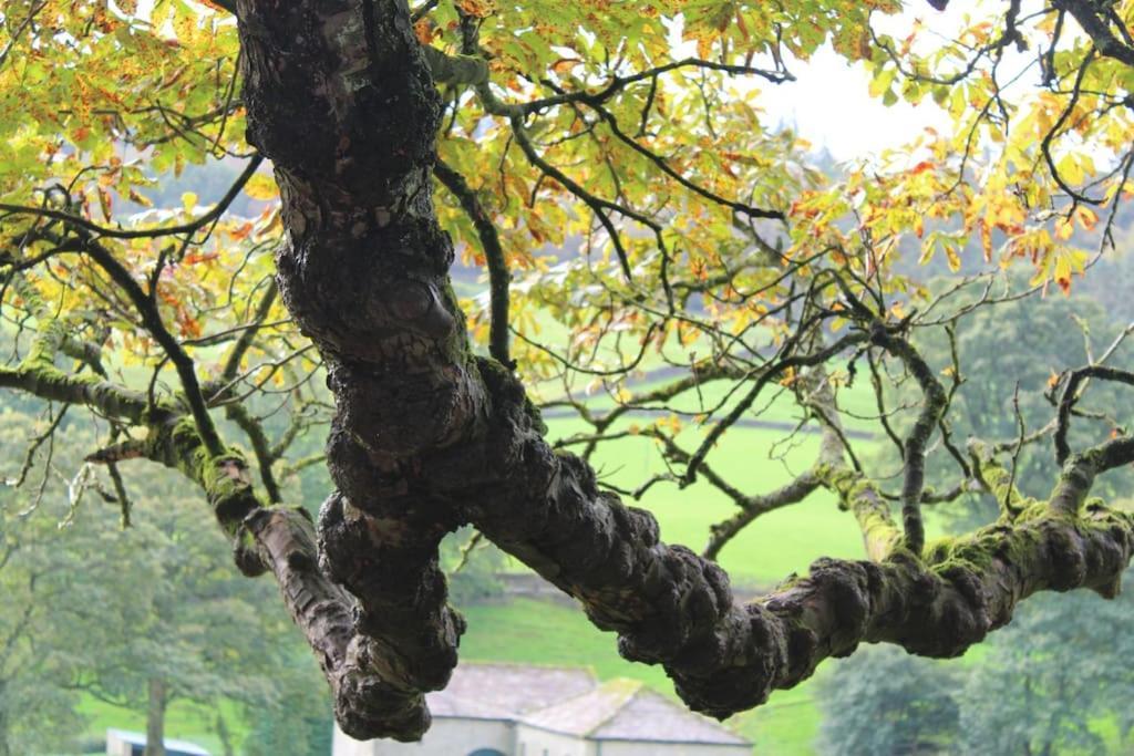 Folly View - Private, Peaceful Apartment With Stunning Views. Pateley Bridge Exteriör bild